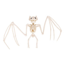Load image into Gallery viewer, Bat Skeleton Halloween Decoration with Spread Wings for Tables and Rooms