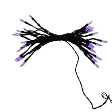 Load image into Gallery viewer, Purple Fairy Lights with Black Wire for Halloween Party and Room Decor