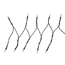 Load image into Gallery viewer, Purple Fairy Lights with Black Wire for Halloween Party and Room Decor
