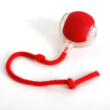 Load image into Gallery viewer, Interactive Rolling Ball with Tail Attachment for Dogs