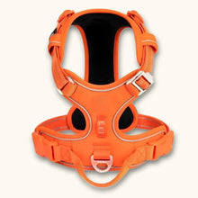 Load image into Gallery viewer, No Pull Dog Harness, Y Shape, Adjustable & Ergonomic Design