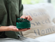 Load image into Gallery viewer, Mosquito Cactus Lamp