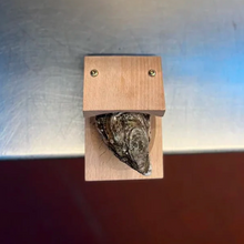 Load image into Gallery viewer, Oyster Shucking Clamp
