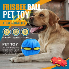 Load image into Gallery viewer, Flying Saucer Ball Dog Toy