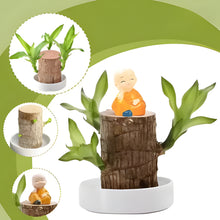 Load image into Gallery viewer, Lucky Brazilian Wood Plant