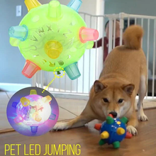 Load image into Gallery viewer, New Jumping Activation Ball For Dogs