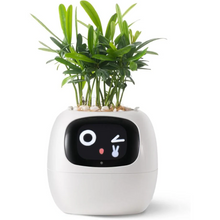 Load image into Gallery viewer, Smart Plant Pot Ivy - Innovative Plant Care