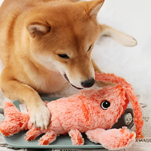 Load image into Gallery viewer, Floppy Lobster Interactive Dog Toy