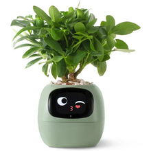 Load image into Gallery viewer, Smart Plant Pot Ivy - Innovative Plant Care