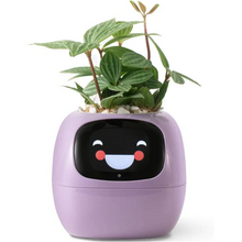 Load image into Gallery viewer, Smart Plant Pot Ivy - Innovative Plant Care