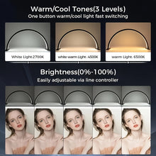 Load image into Gallery viewer, Arc Desk Lamp with LED Panel and Adjustable Color Temperature