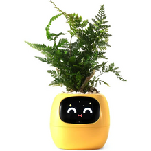 Load image into Gallery viewer, Smart Plant Pot Ivy - Innovative Plant Care