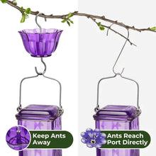 Load image into Gallery viewer, Glass Hummingbird Feeder with Six Flower Ports and Ant Moat, 24oz Capacity