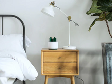 Load image into Gallery viewer, Mosquito Cactus Lamp