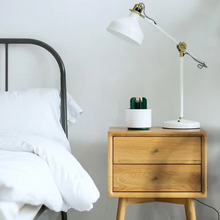 Load image into Gallery viewer, Mosquito Cactus Lamp