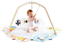 Load image into Gallery viewer, Kids Playground Gym