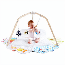 Load image into Gallery viewer, Kids Playground Gym