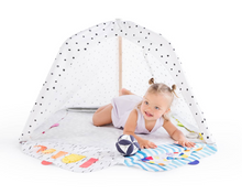 Load image into Gallery viewer, Kids Playground Gym