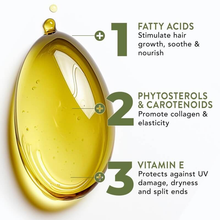 Load image into Gallery viewer, Organic Raw Batana Oil For Hair Growth – Benefits Prevent Hair Loss