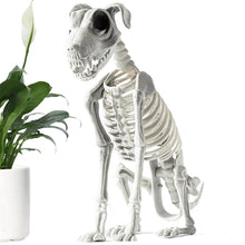 Load image into Gallery viewer, Spooky Skeleton Dog Halloween Decor Statue