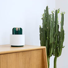 Load image into Gallery viewer, Mosquito Cactus Lamp