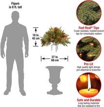 Load image into Gallery viewer, LED Urn Filler with 35 Warm Lights and Evergreen Branches, 18 Inch Width