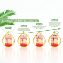 Load image into Gallery viewer, Organic Raw Batana Oil For Hair Growth – Benefits Prevent Hair Loss