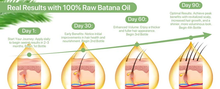 Load image into Gallery viewer, Organic Raw Batana Oil For Hair Growth – Benefits Prevent Hair Loss