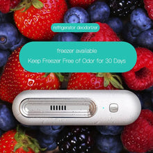 Load image into Gallery viewer, Compact Air Purifier and Refrigerator Deodorizer