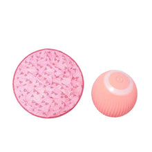Load image into Gallery viewer, 2 in 1 Simulated Interactive Hunting Cat Toy