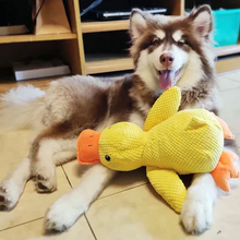 Load image into Gallery viewer, Calming Duck Dog Toy