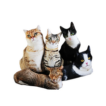 Load image into Gallery viewer, Realistic Cat Cushion