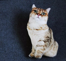 Load image into Gallery viewer, Realistic Cat Cushion