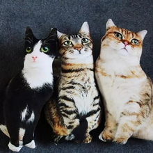 Load image into Gallery viewer, Realistic Cat Cushion