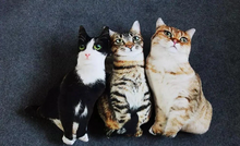 Load image into Gallery viewer, Realistic Cat Cushion