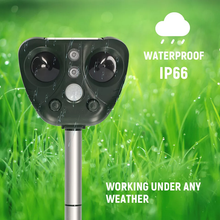 Load image into Gallery viewer, Solar Ultrasonic Bird Repeller with Motion Activated LED Lights and 5 Sensitivity Modes