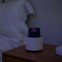 Load image into Gallery viewer, Mosquito Cactus Lamp