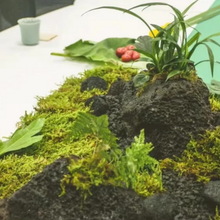 Load image into Gallery viewer, Artificial Moss for Planters and Home Decor
