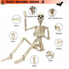 Load image into Gallery viewer, Life Size Halloween Skeleton Decoration with Adjustable Joints