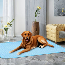 Load image into Gallery viewer, Summer Ice Cool Pet Cooling Mat