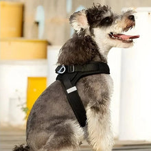 Load image into Gallery viewer, Small Dog Harness, Lightweight Adjustable Easy-On Design