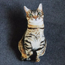 Load image into Gallery viewer, Realistic Cat Cushion