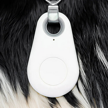Load image into Gallery viewer, Pets Smart Waterproof GPS Tracker