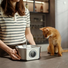 Load image into Gallery viewer, Ultra-Quiet Stainless Steel Pet Water Fountain with Triple Filtration System, 108.2oz Capacity for Cats and Dogs