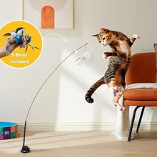 Load image into Gallery viewer, Interactive Bird Simulation Cat Toy Set