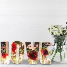 Load image into Gallery viewer, Resin Letter Decor with Dried Flowers and LED Light