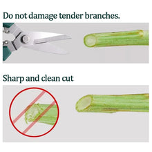 Load image into Gallery viewer, Heavy Duty Steel Pruning Shears for Fruit and Flowers