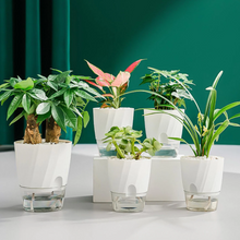 Load image into Gallery viewer, Self Watering Planter