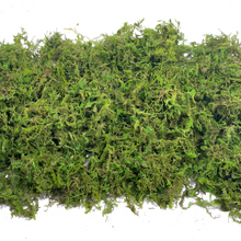 Load image into Gallery viewer, Artificial Moss for Planters and Home Decor