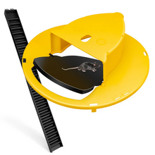 Load image into Gallery viewer, Bucket Trap Cover with Auto Reset Lid and Dual Ladders for Rodents